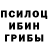 Псилоцибиновые грибы Cubensis Herfortz