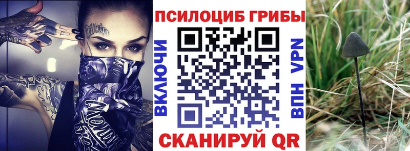 Галлюциногенные грибы MAGIC MUSHROOMS  Катайск 